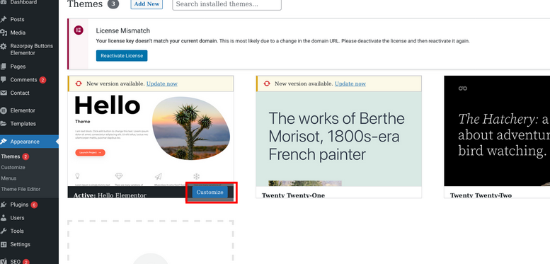 wordpress theme option